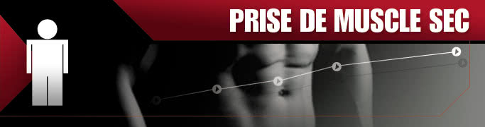 Prise de Muscle Sec Prise de Muscle Sec