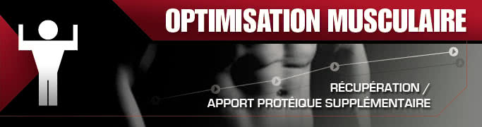 Récupération / Apport protéique supplémentaire
