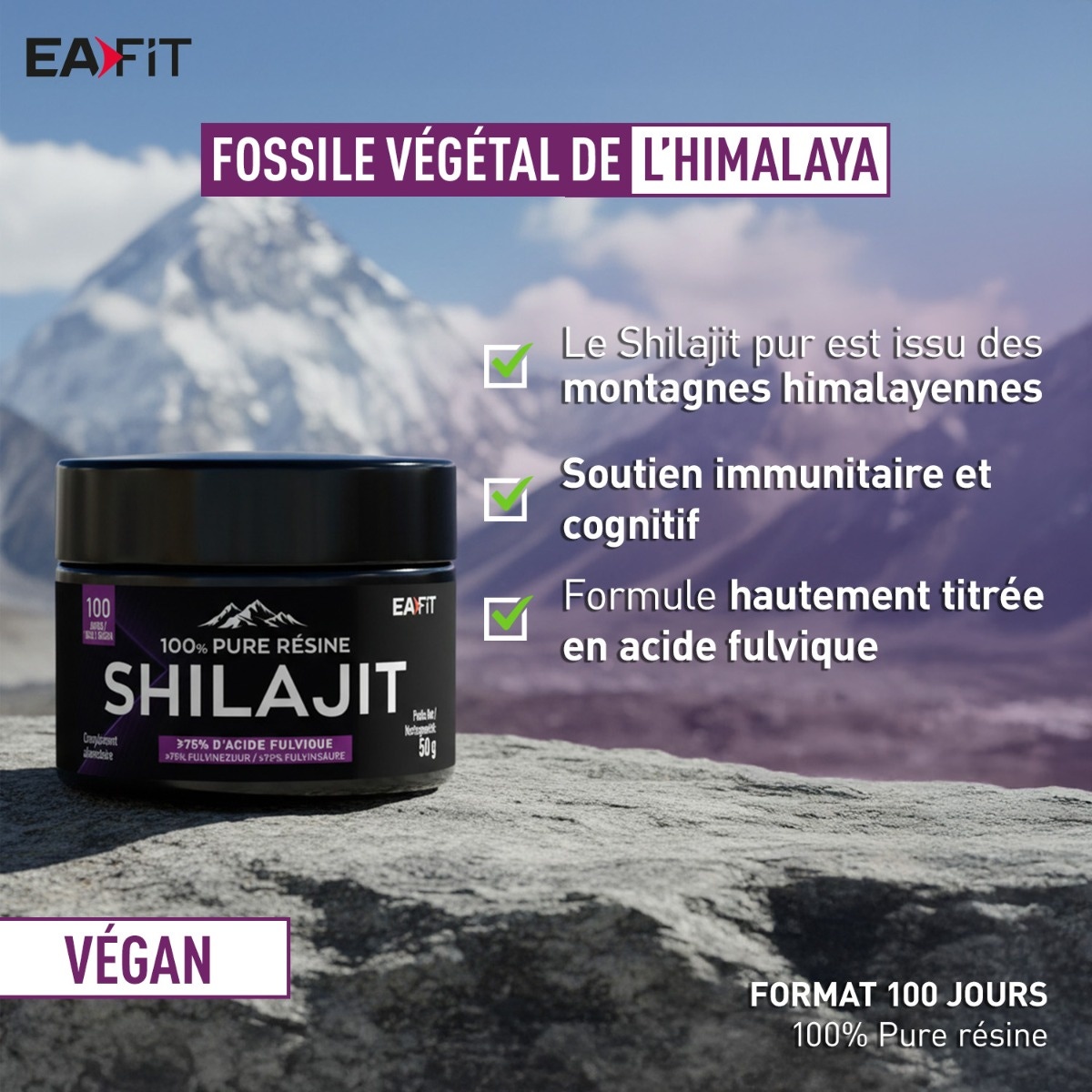 Shilajit - Fossile végétal de l'himalaya