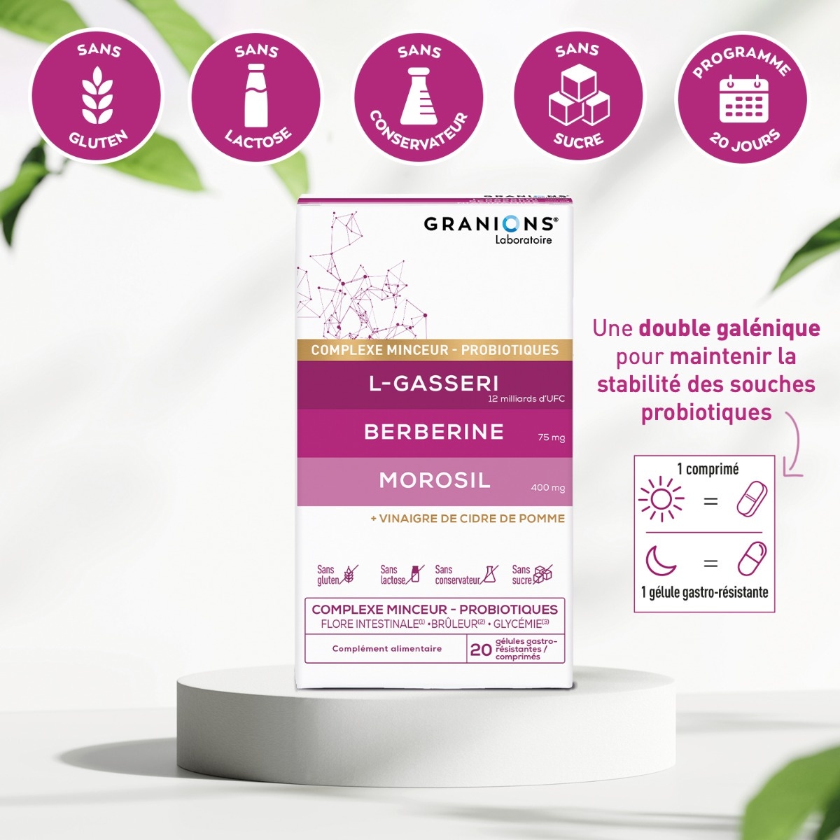 Complexe Microbiote Minceur LGasseri Berberine Morosil