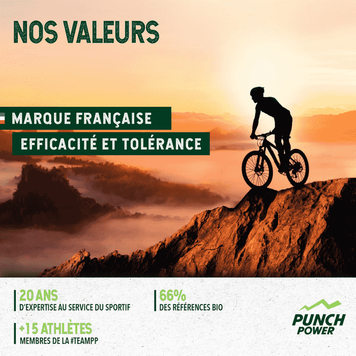 Punch Power Protein 90 - 450 g - Vanille