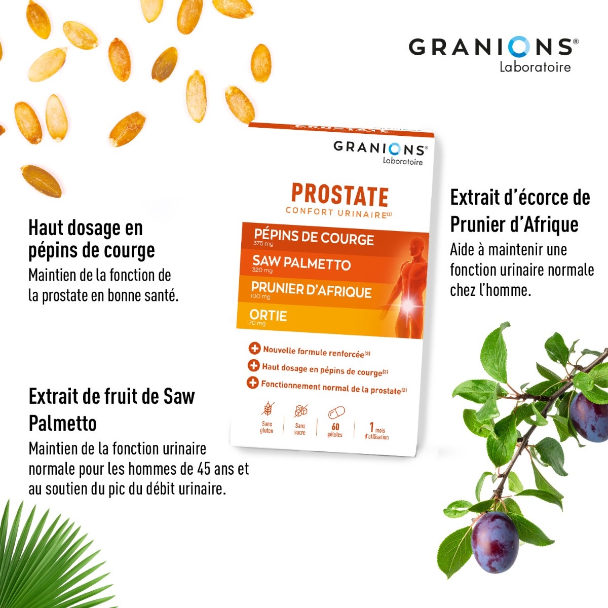 Lot de 2 Granions Prostate