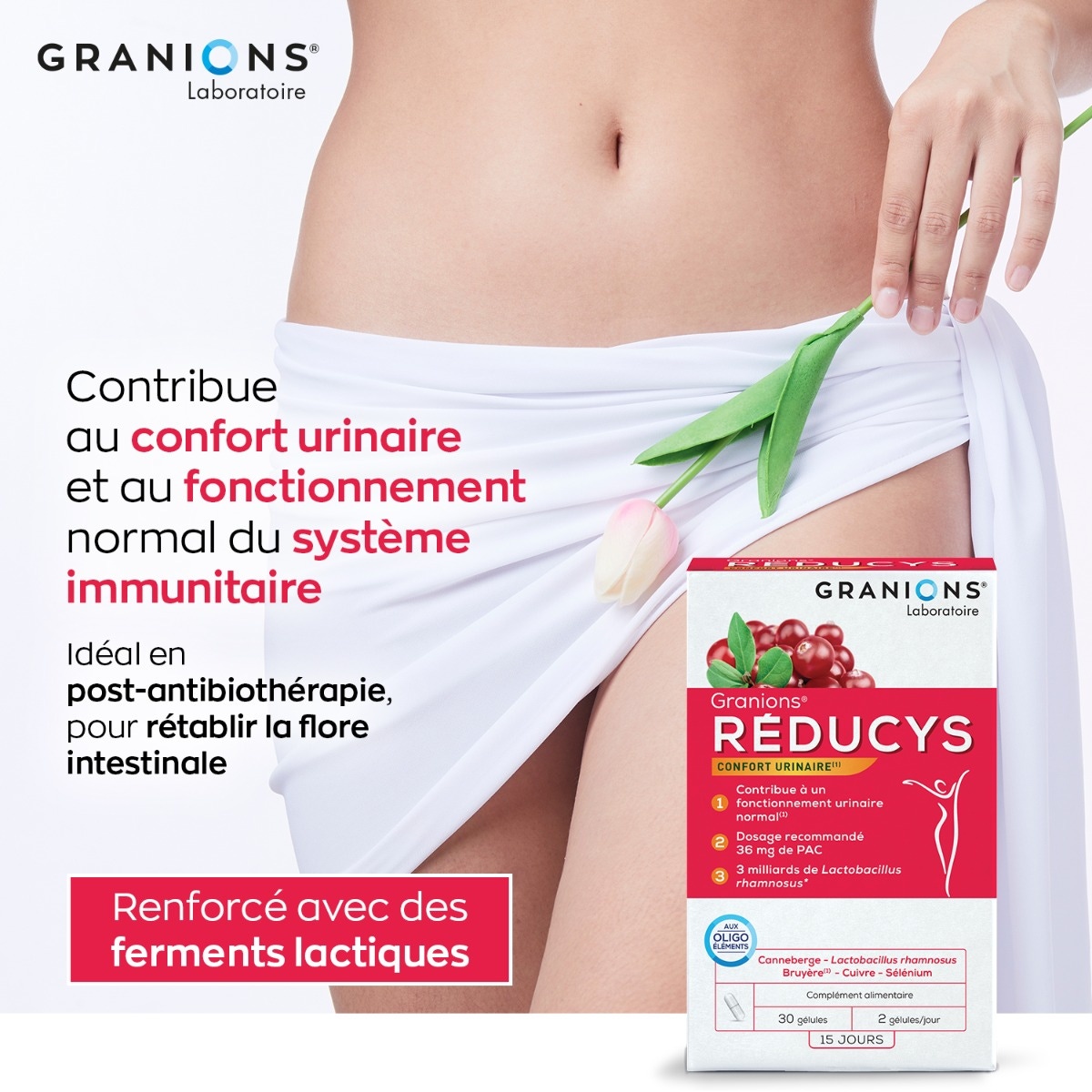 GRANIONS - Réducys - Confort Urinaire 