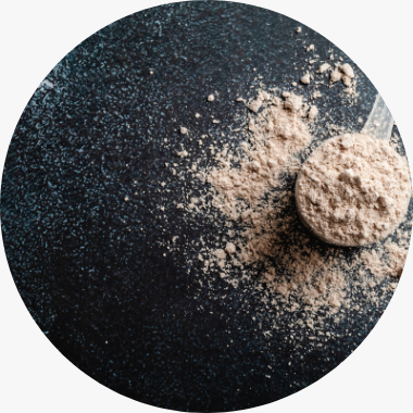 Punch Power Protein 90 Vanille 450 g 2 Protein 90 pour une sèche réussie